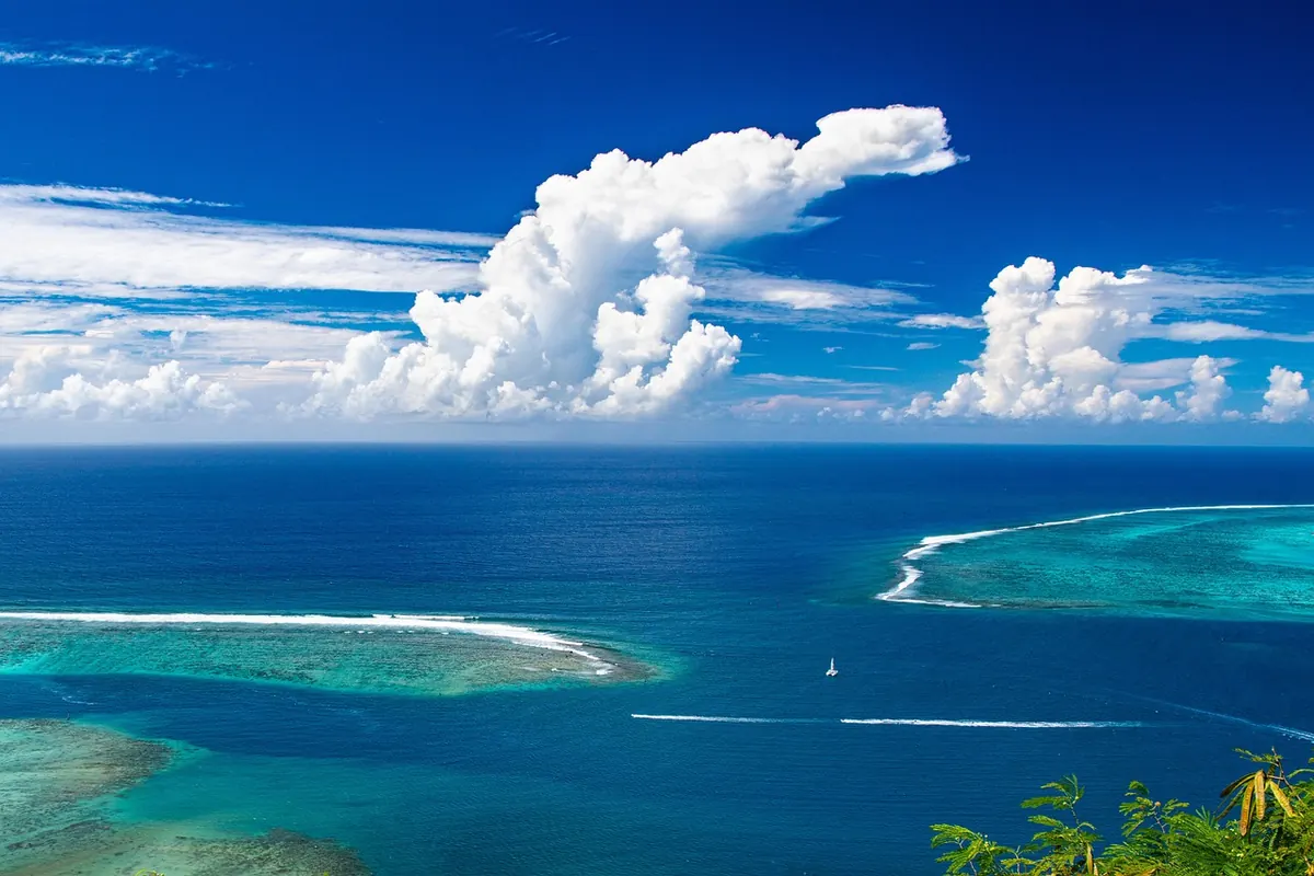 A Beginner's Guide to UK Cold-Water Coral Reefs