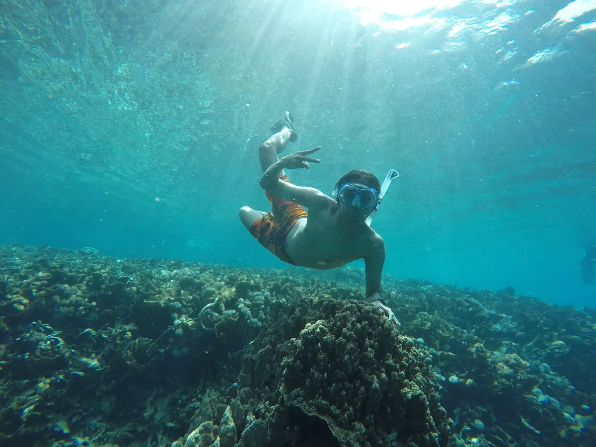 UK Coastal Snorkelling: A Seasonal Checklist for Protecting Marine Life